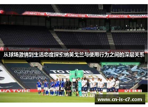 从球场激情到生活态度探索纳英戈兰与使用行为之间的深层关系 从球场激情到生活态度探索纳英戈兰与使用行为之间的深层关系