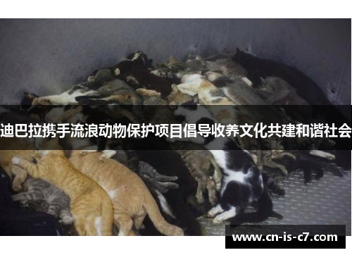 迪巴拉携手流浪动物保护项目倡导收养文化共建和谐社会